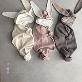 Rabbit Suit